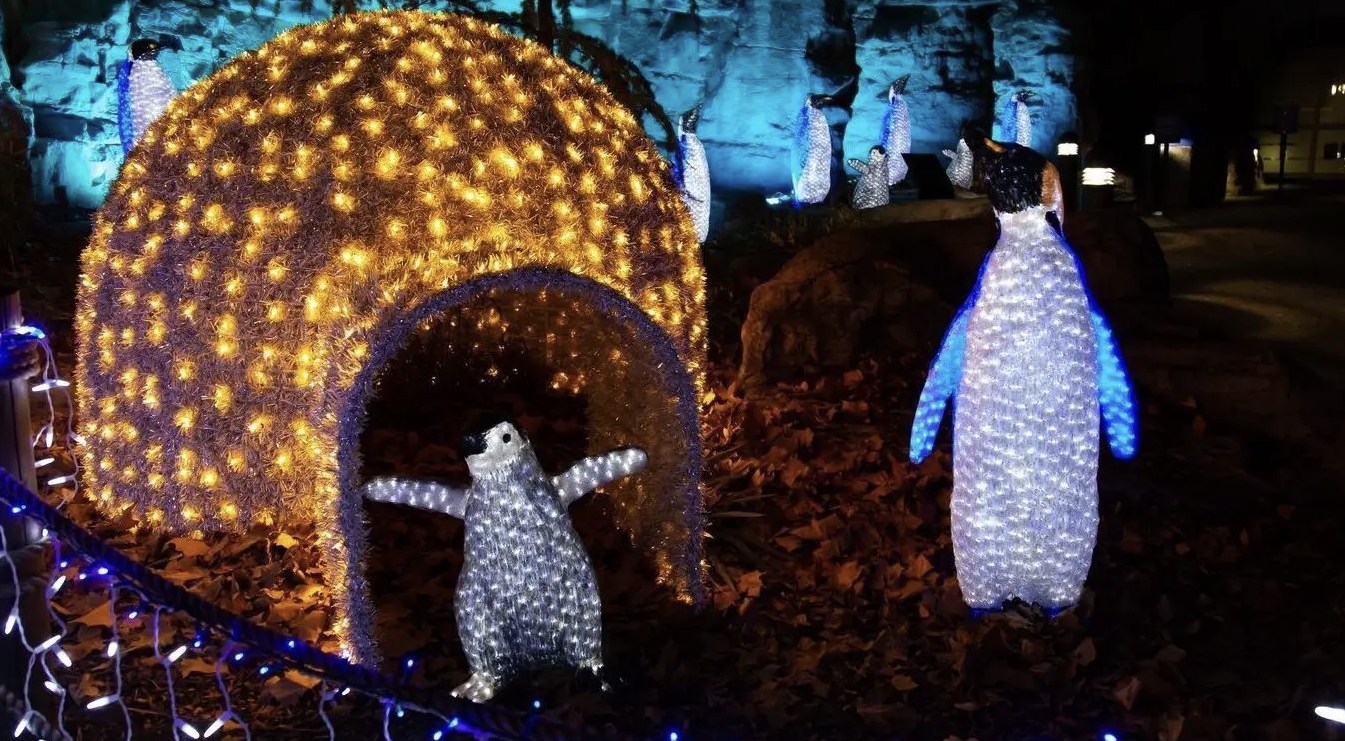 Thread image preview